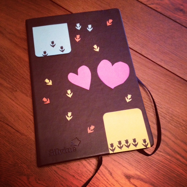 photo 2 (11)