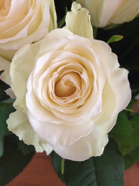 photo 2 (9)