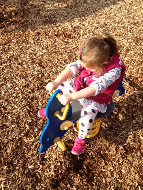 photo 2 (13)