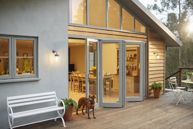 Dog to retouch copy (650x434)