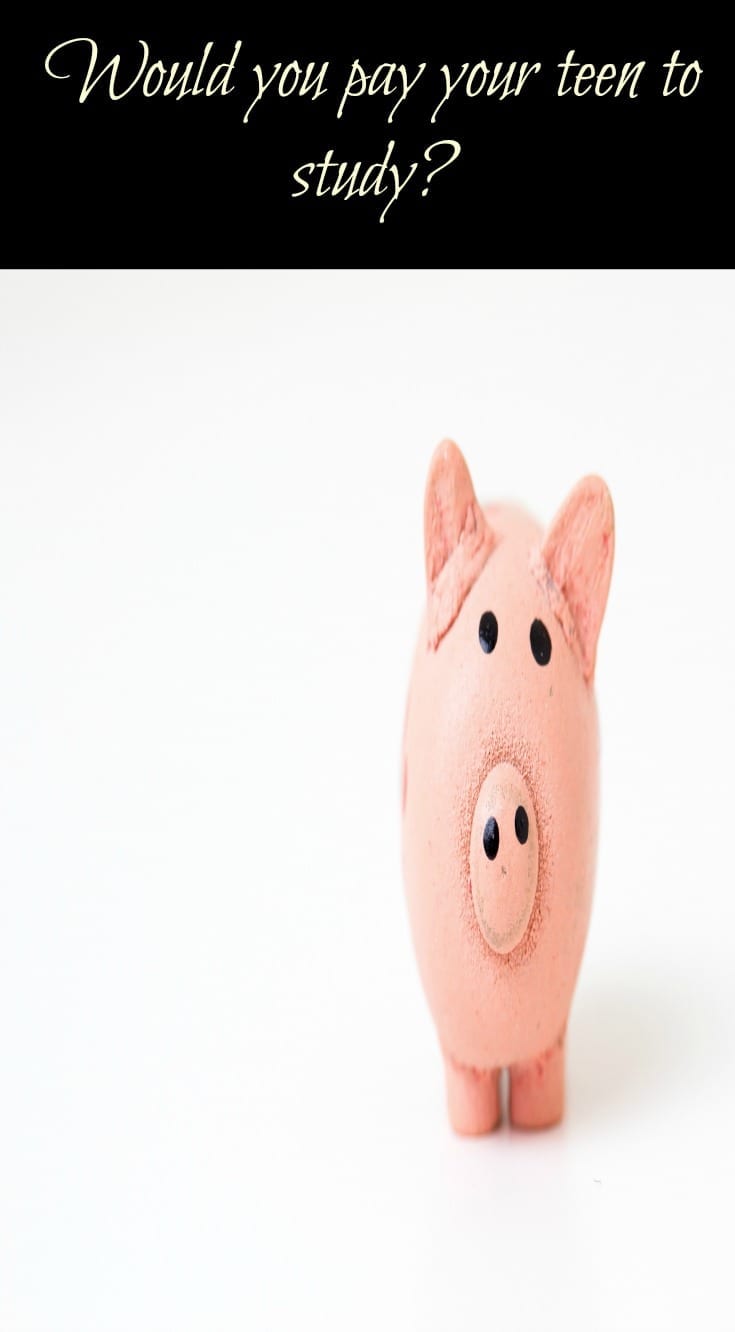 Would you pay your child based on their GCSE exam results?