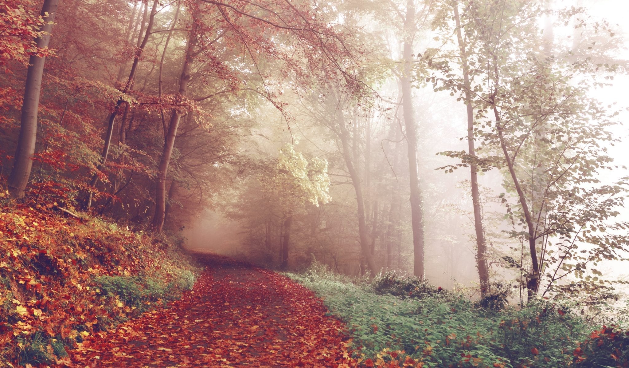 A photo by Sebastian Unrau. unsplash.com/photos/CoD2Q92UaEg
