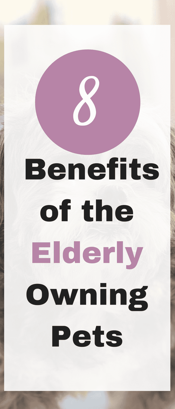 Have you been thinking about owning a pet? Then here are 8 benefits of owning one by Emma at Emma and 3.