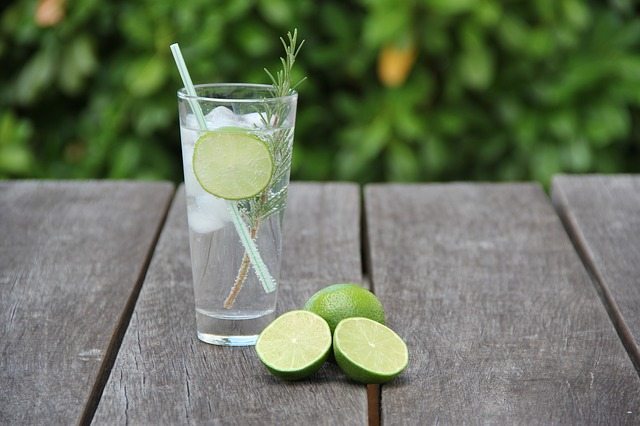 Gin Festival, Blackfriars Gloucester Review