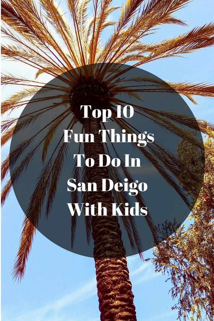 Top 10 Fun Things To Do In San Deigo With Kids inc zoo, winery and beach