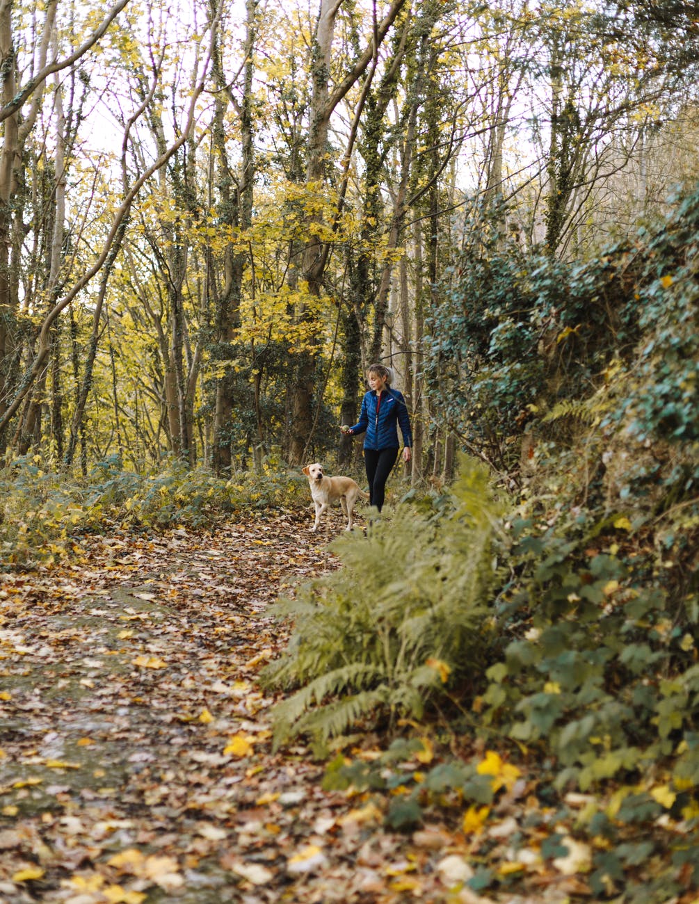 woman and dog walking at woods this is one way how can teenagers make money