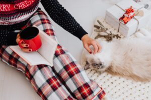 danish Christmas Ideas